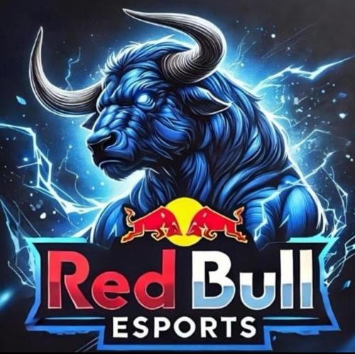 REDBUL ESPORTS