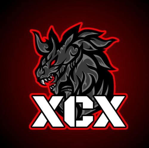 XCX ESPORTS