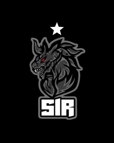 S1R E-SPORTS