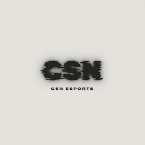 CSN E-SPORTS