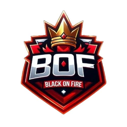 Black On Fire Academy
