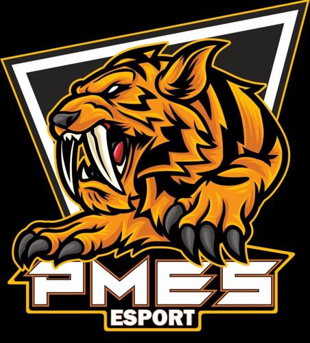 PMES Espor