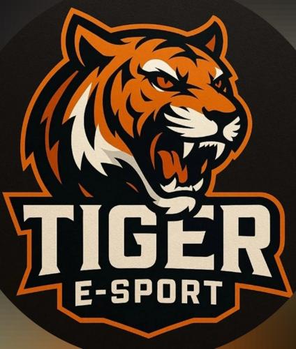 tiger esports