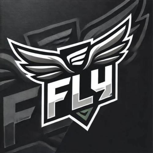 FLY esports