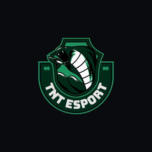 TNT ESPORTS