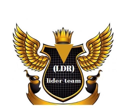 LİDER team