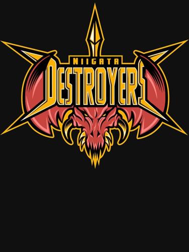 DESTROYER