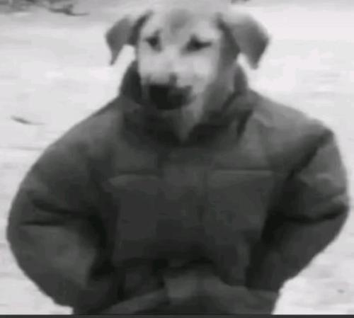 Çimento Depocuları