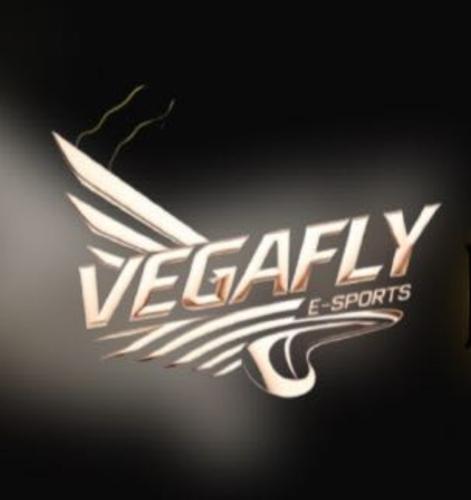 VegaFLY E-Sports