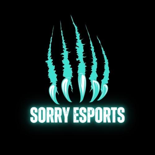 Sorry Esports