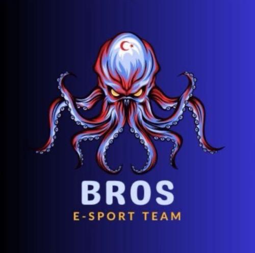 BROS ESPORTSS