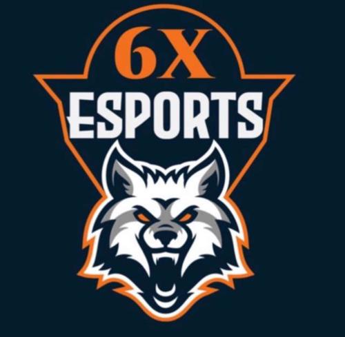 6xESPORTS