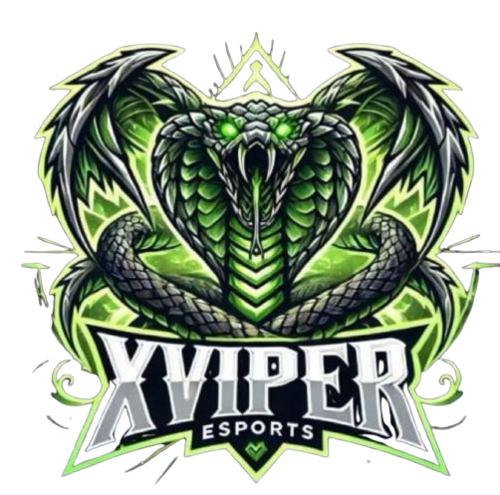 XVİPER E SPORTS