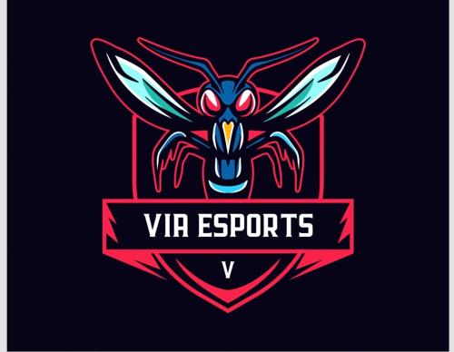 Via Esports
