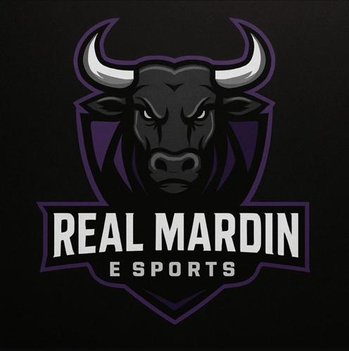 Real Mardin Esports