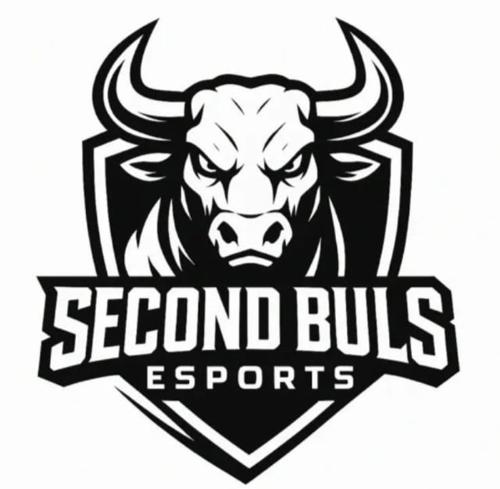 SECOND BULLS