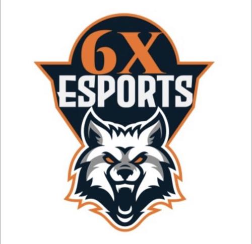 6X ESPORTS1