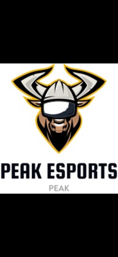 Peak Esportss