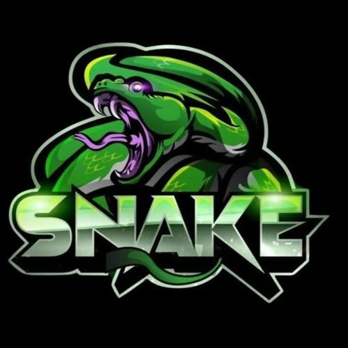 Snake Academyy