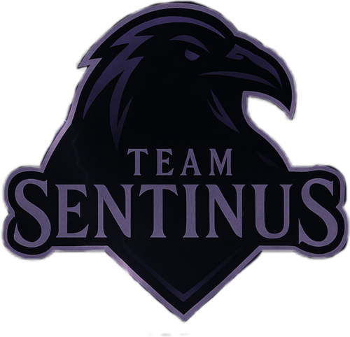 Team Sentinus