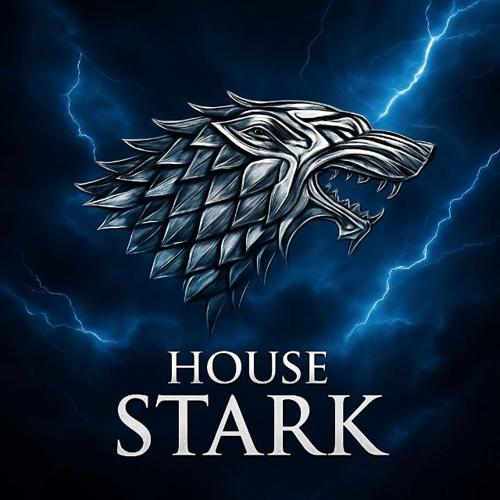 HOUSE STARKx2