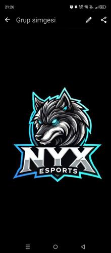 NYX ESPORTS