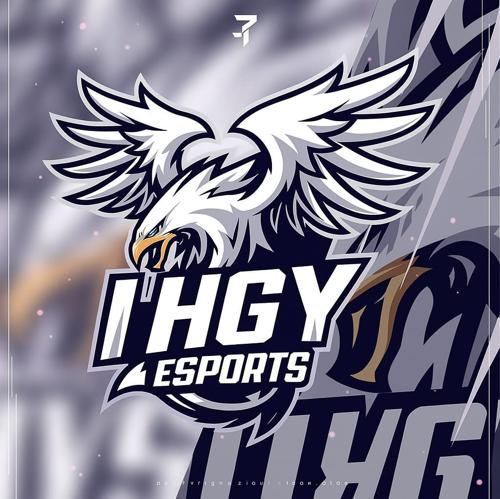 HGY ESPORTS