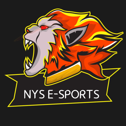 NYS ESPORTS