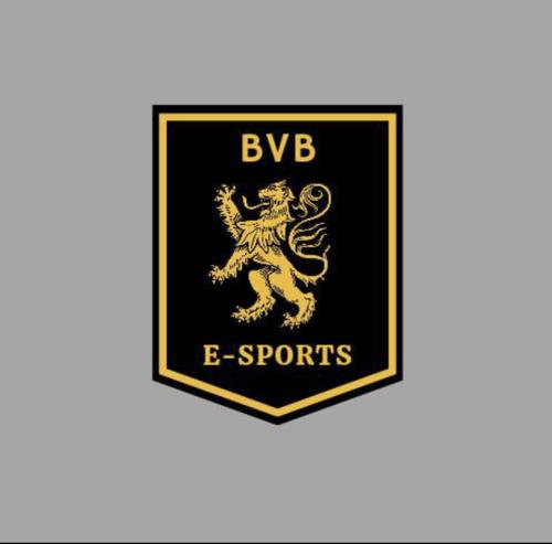 BVB E-SPORTS