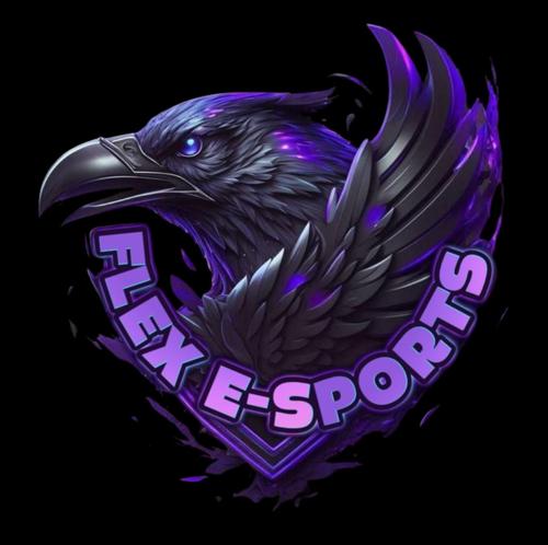FLEX E-SPORT