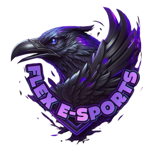 FLEX E-SPORT