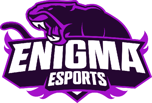 ENİGMA ESPORTS