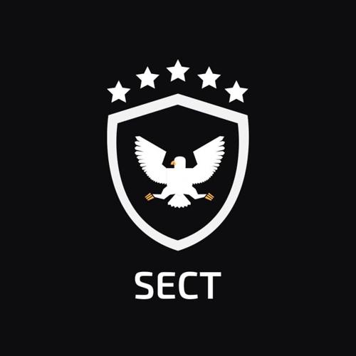 SECT TEAM