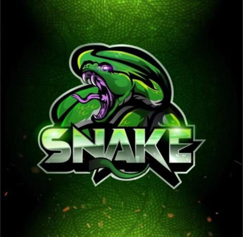 snake acedemy