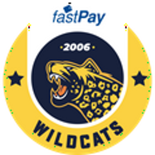 Istanbul Wildcats