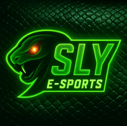 SLY E-SPORTS