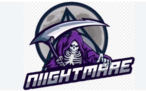 NİİGHTMARE ESPORTS.