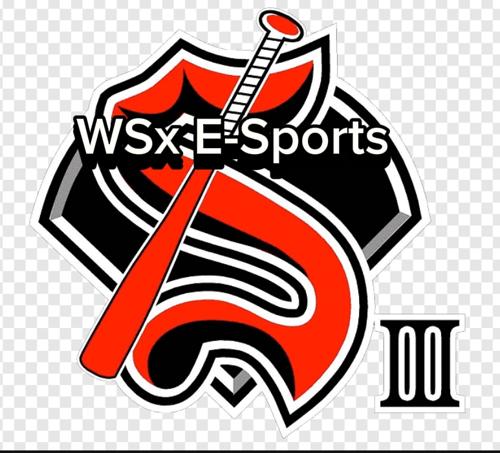 WSx E-Sports