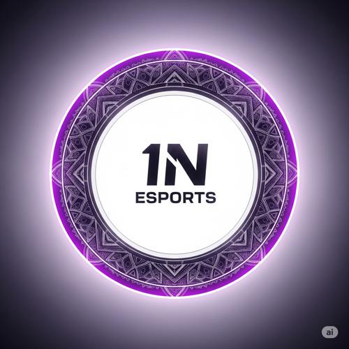 1N ESPORTS