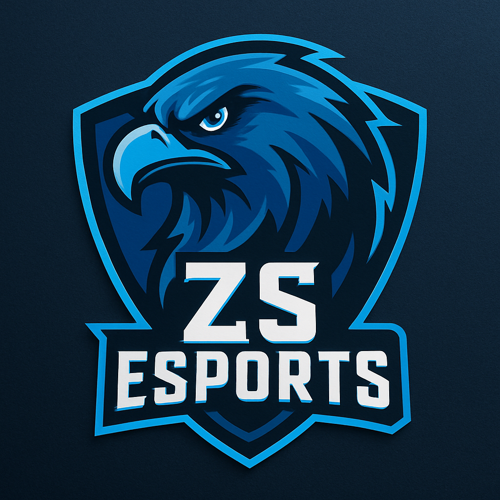 ZŞ ESPORTS