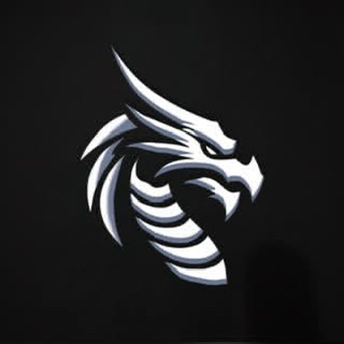 FSM ESPORTS