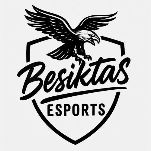 BEŞİKTAŞ  E-SPORTS