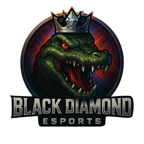 BLACK DİAMOND ESPORTS