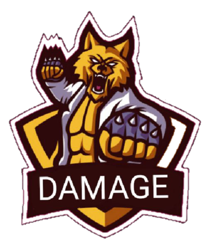 DaMaGe E sports
