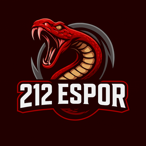212 ESPORTS