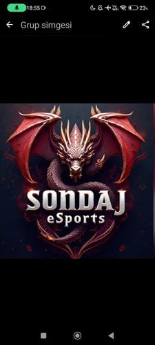 SONDAJ E-SPOR