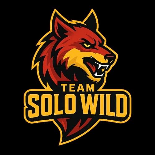 TEAM SOLO WİLD E SPORTS