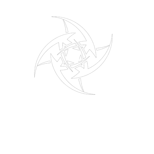 Ninjas in night
