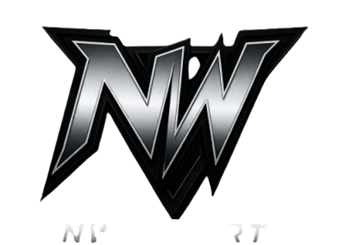 NewWay Esports