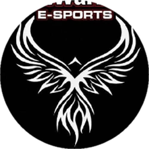 LastWarriors Esports